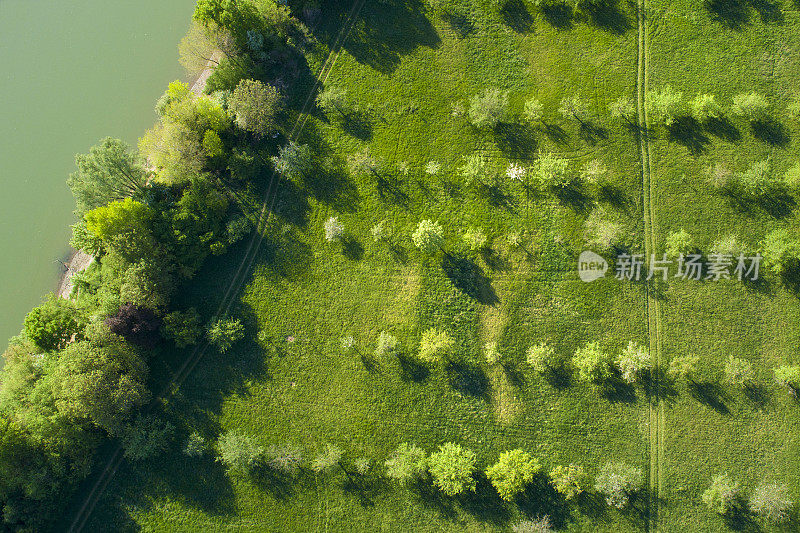 春季鸟瞰图果树种植园