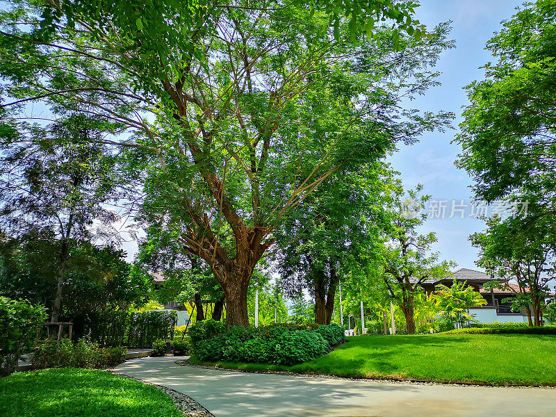 平整绿草草坪，绿化乔木和灌木在良好的维护景观和园林下的蓝天，灰色曲线图案的人行道，砂石冲刷整理的混凝土铺装，棕色砾石边框