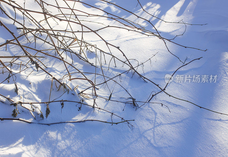 新鲜的雪表面在阳光充足的冬天。