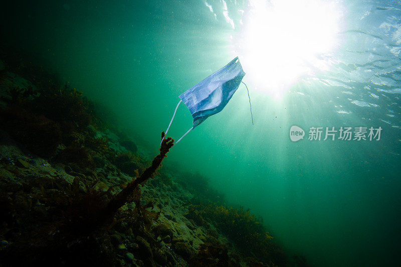 海洋中的面罩污染