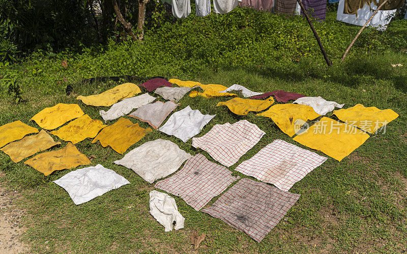 刚洗过的毛巾躺在草地上，在阳光下晒干。Hikkaduwa,斯里兰卡。