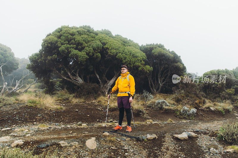 一名年轻的徒步旅行者在乞力马扎罗山国家公园旅行后放松，享受森林和山脉的美景