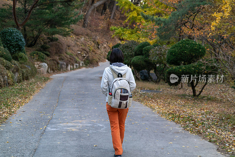 一个背着背包的女人走在山路上欣赏秋叶。