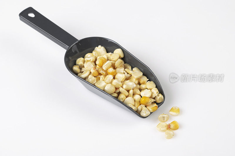 一勺干玉米种子