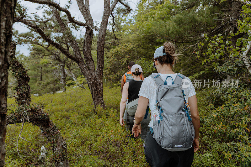 一群朋友一起徒步旅行