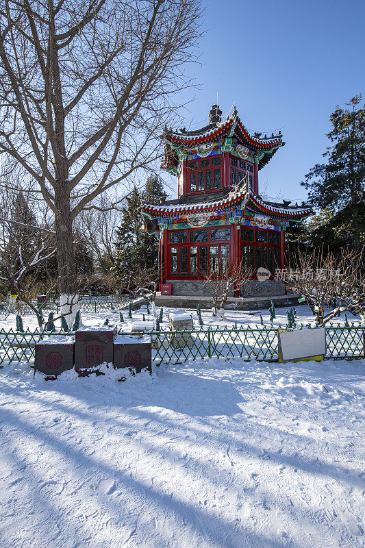 公园里的雪