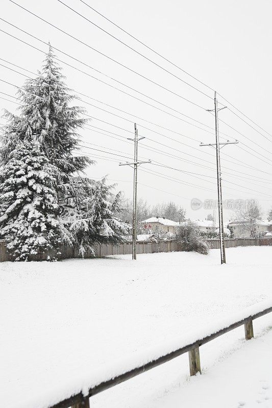 电力线之上的绿带在雪在加拿大