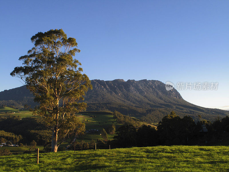 塔斯马尼亚山景观风景罗兰山牧场