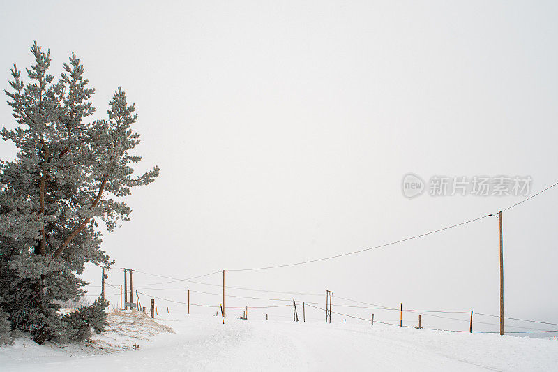 雪路和电线杆