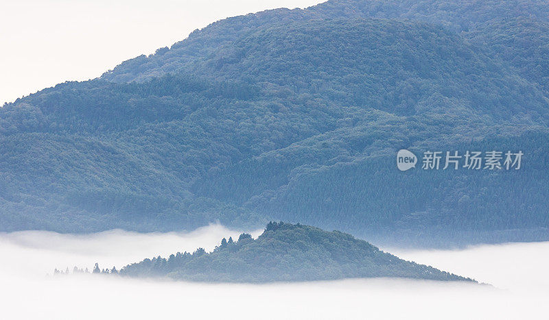 从云层中探出的一座小森林山峰