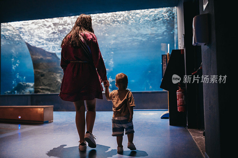 母亲和她的孩子观看海洋生物