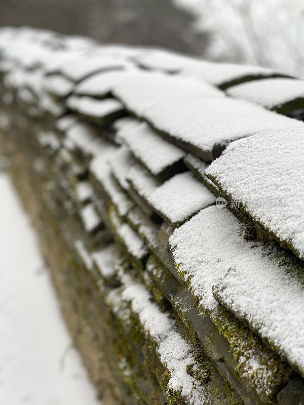 首尔的第一场雪