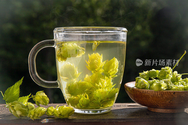 药茶饮品由葎草制成，常见的啤酒花或酒花。白木背景上的啤酒花与茶杯，室内家居。