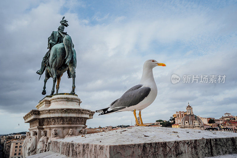 著名的维克多·伊曼纽尔二世纪念碑前的海鸥