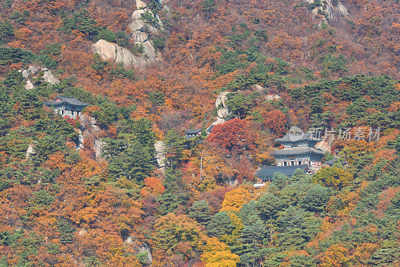 秋天的佛寺