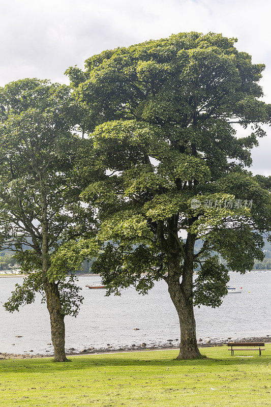 英格兰苏格兰格拉斯哥海伦斯堡的克莱德湾海岸