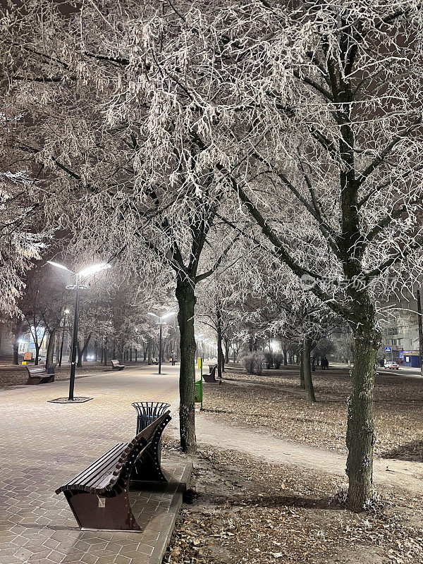 夜晚，小公园里覆盖着白霜的树木。