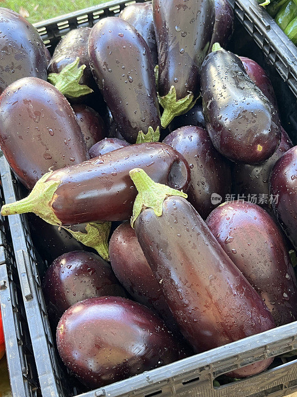 农贸市场的紫色大茄子