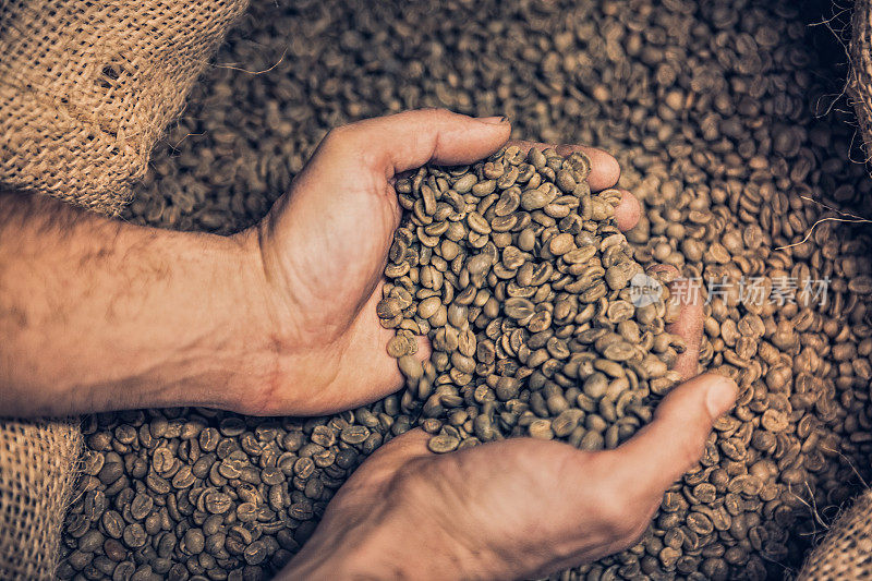 手握咖啡豆原料
