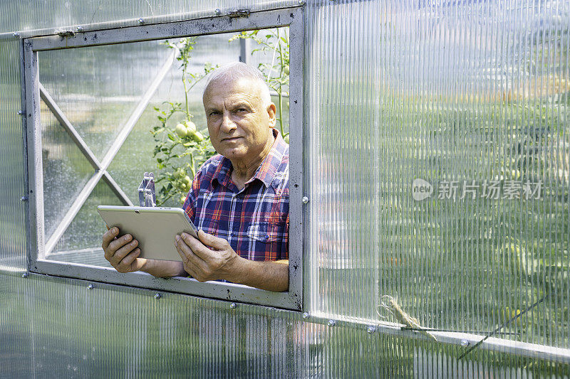 温室里拿着数码平板电脑的农民。