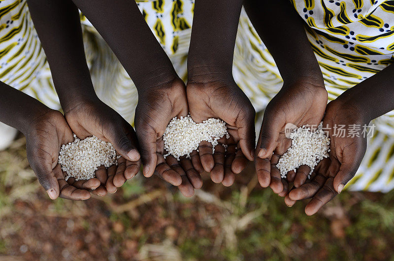 非洲黑人儿童组织持有大米营养不良饥饿饥饿