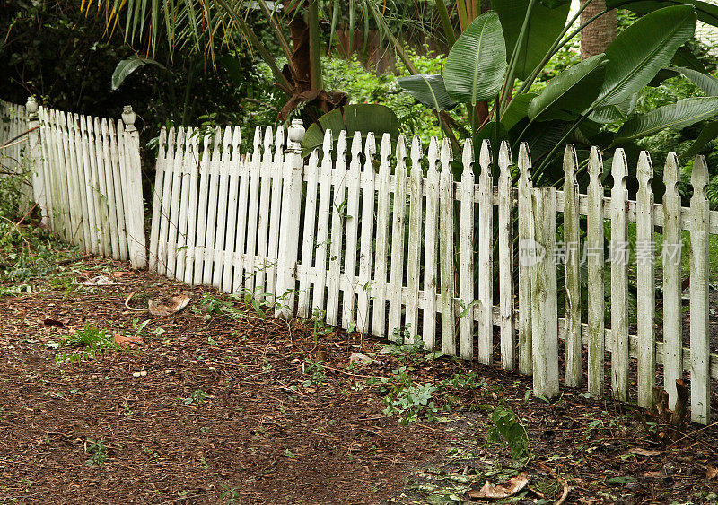 旧尖桩篱笆需要修理和油漆
