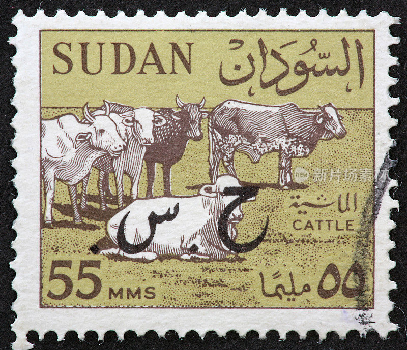 苏丹牛邮票