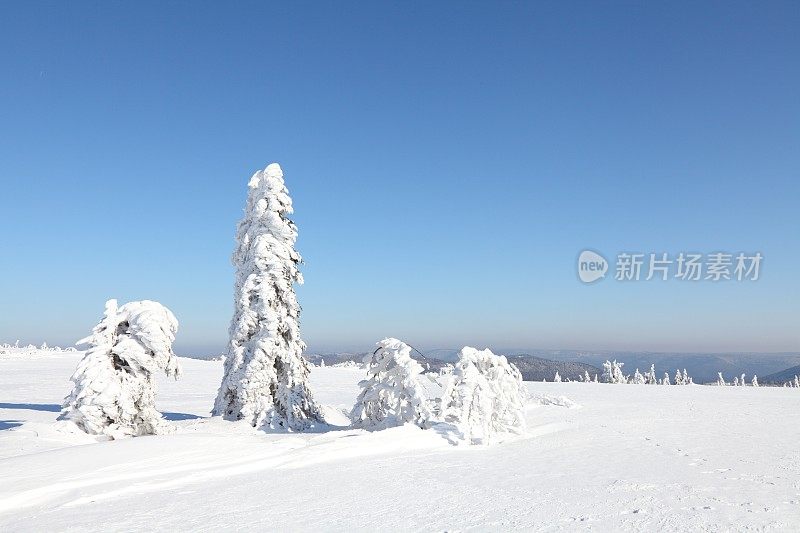 冬天的风景与雪在黑森林