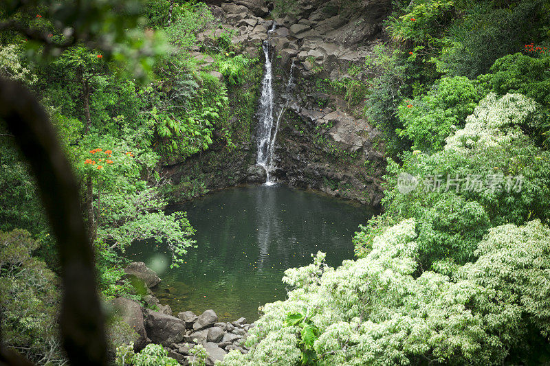 毛伊岛的瀑布