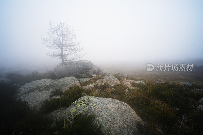 特拉斯-奥斯-蒙特斯的风景