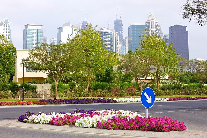 阿联酋迪拜――路边的鲜花