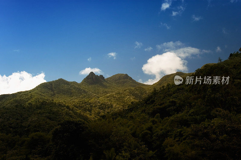 雨林山