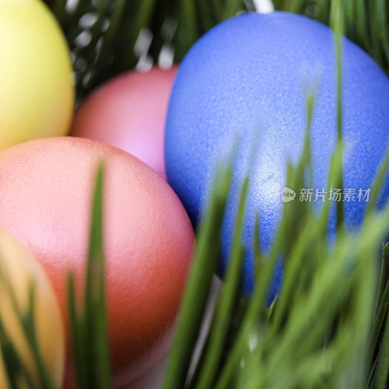 草巢中的复活节彩蛋