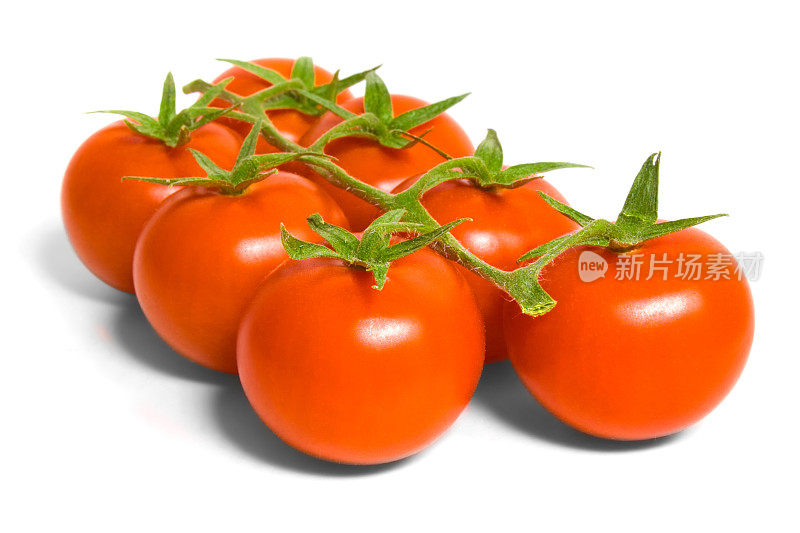 我来到Tomatoes