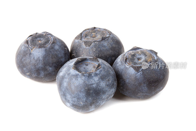 四个新鲜的蓝莓
