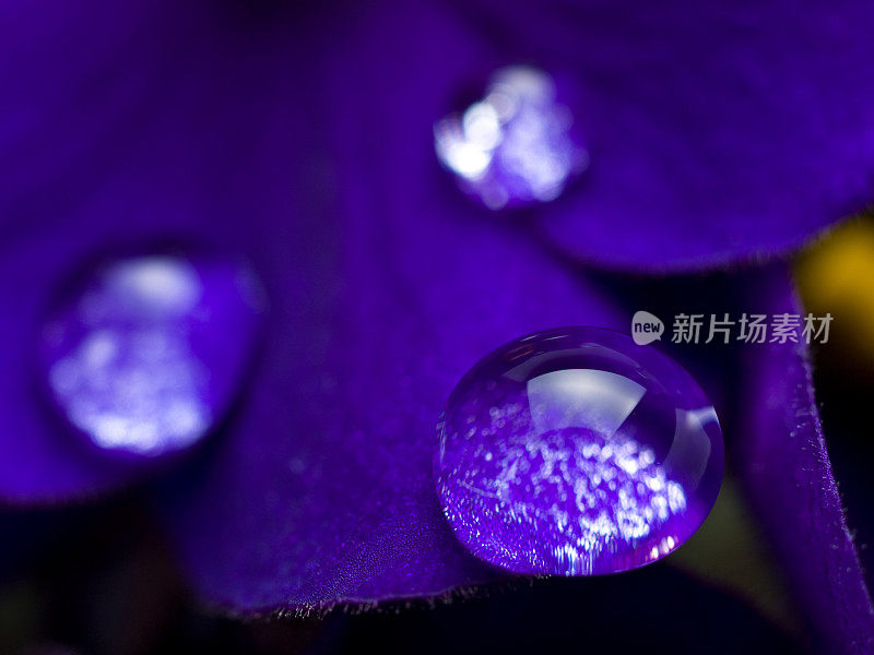 紫色水滴