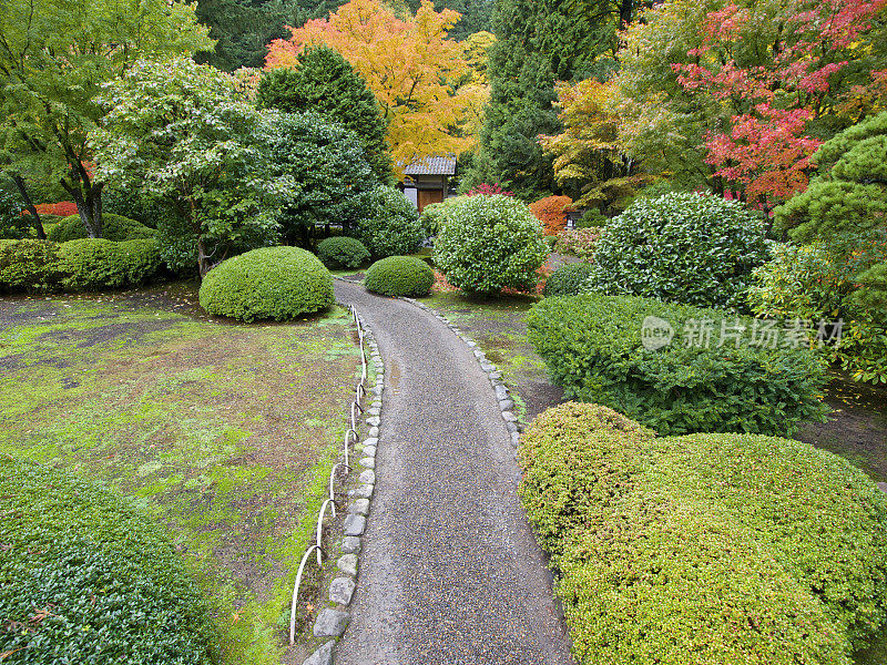 日本平坦花园小径树木灌木俄勒冈州波特兰