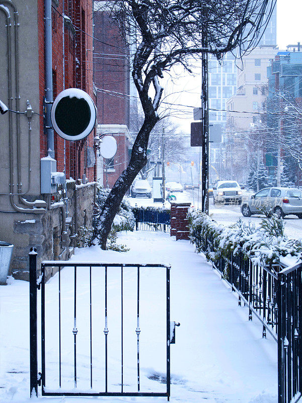 雪的城市