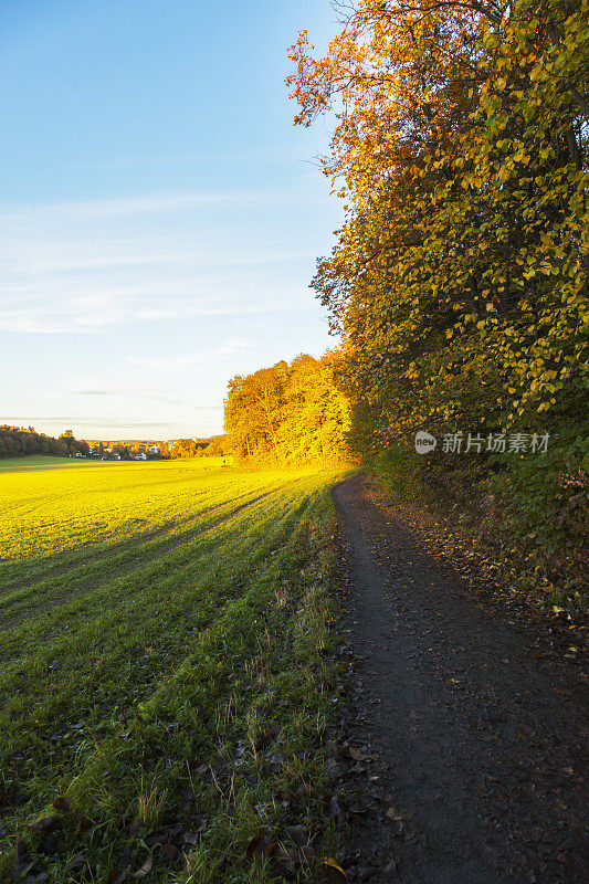 初秋日落时，温暖的阳光洒在绿色的田野上。