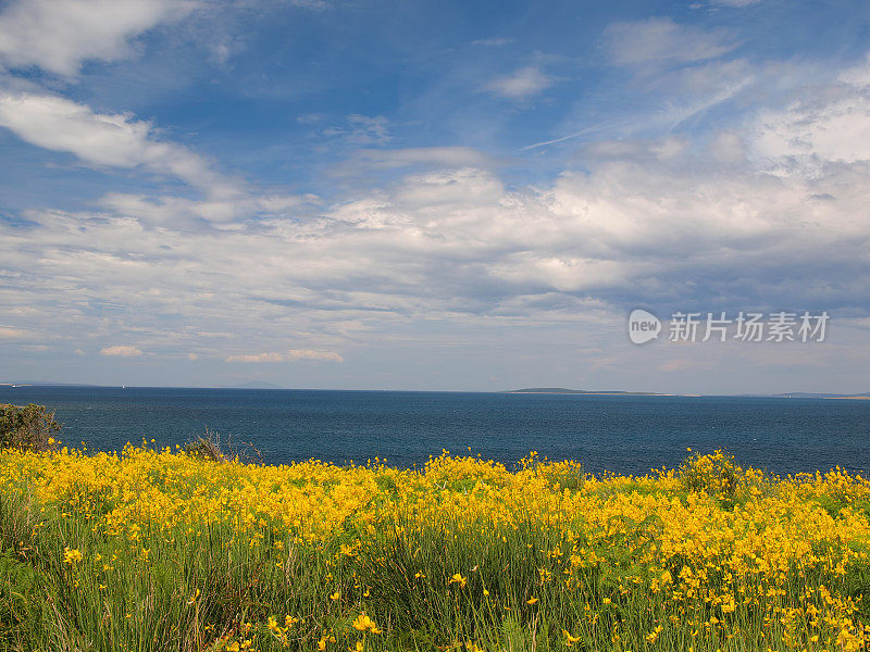 达尔马提亚的春景