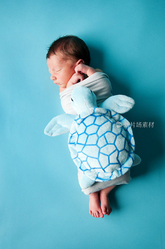 新生男婴和海龟标本