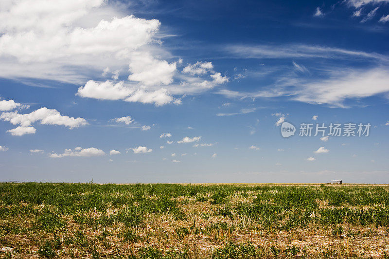 空旷的田野