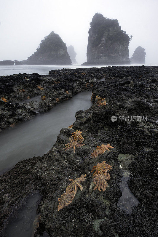 新西兰Punakaiki海岸