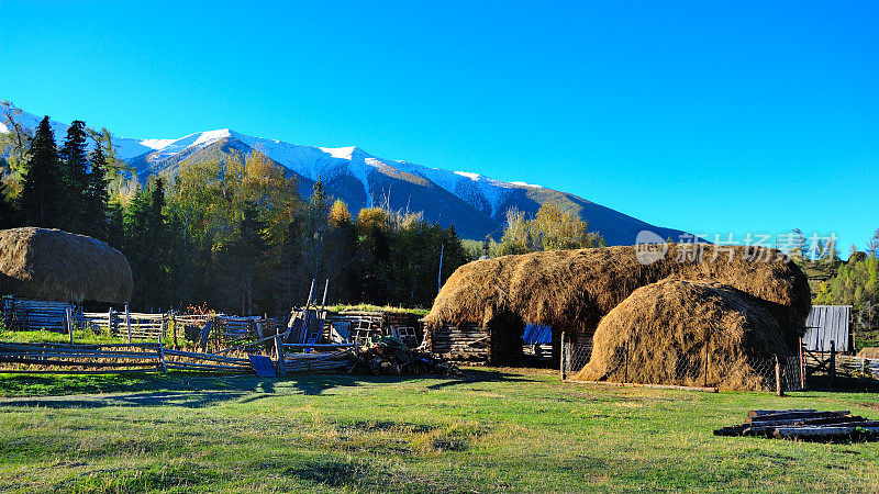 雪山、森林、村落