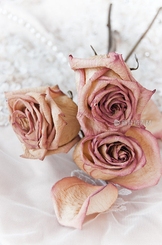 婚纱上的玫瑰