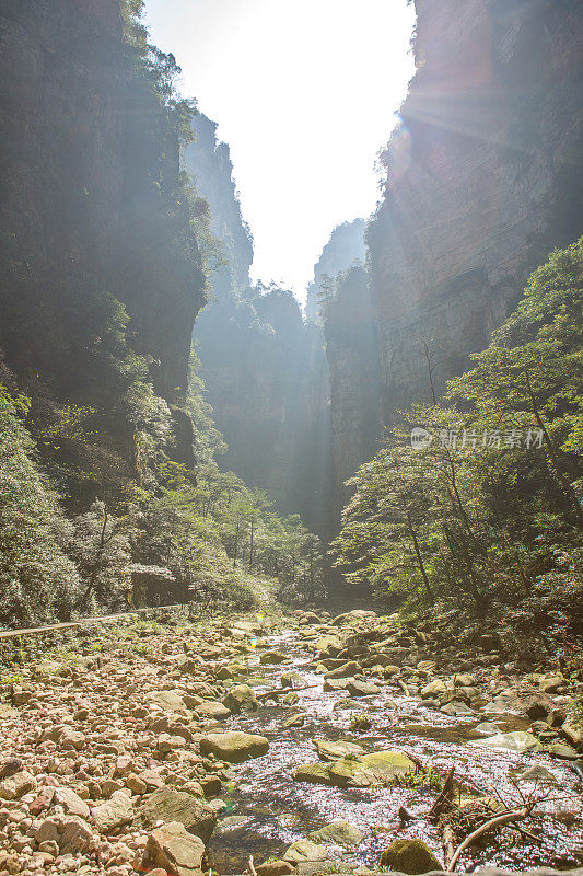 中国张家界国家森林公园