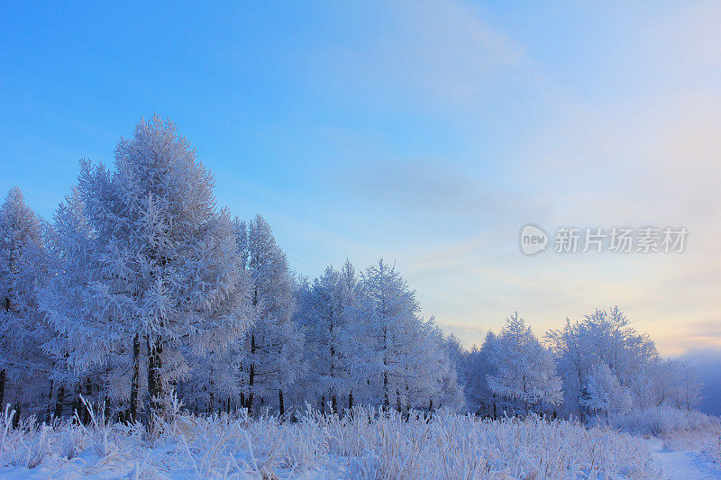 冬天的风景