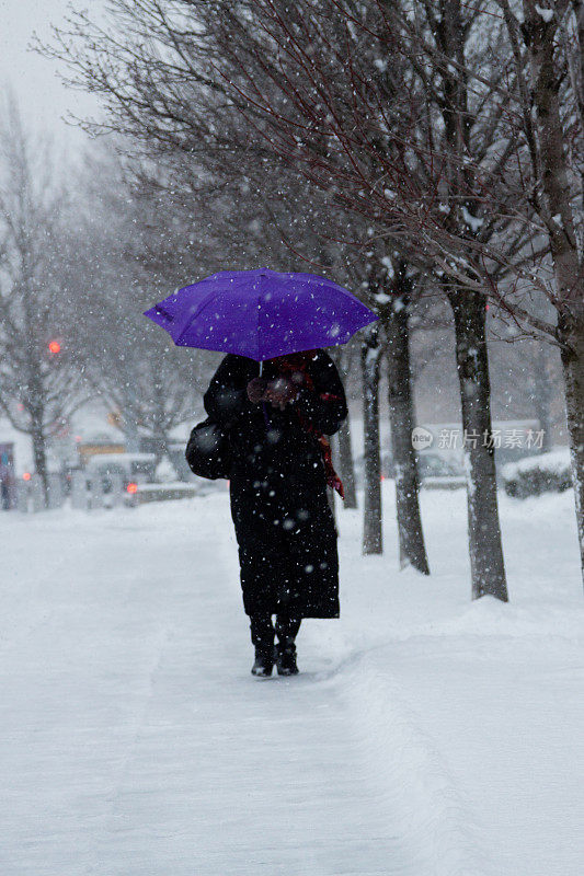 暴风雪