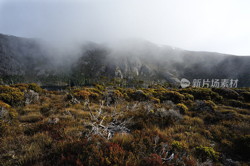 摇篮山