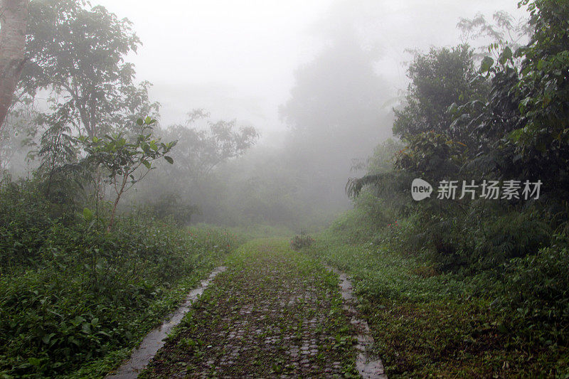 印度尼西亚:弗洛雷斯的拉那米斯湖